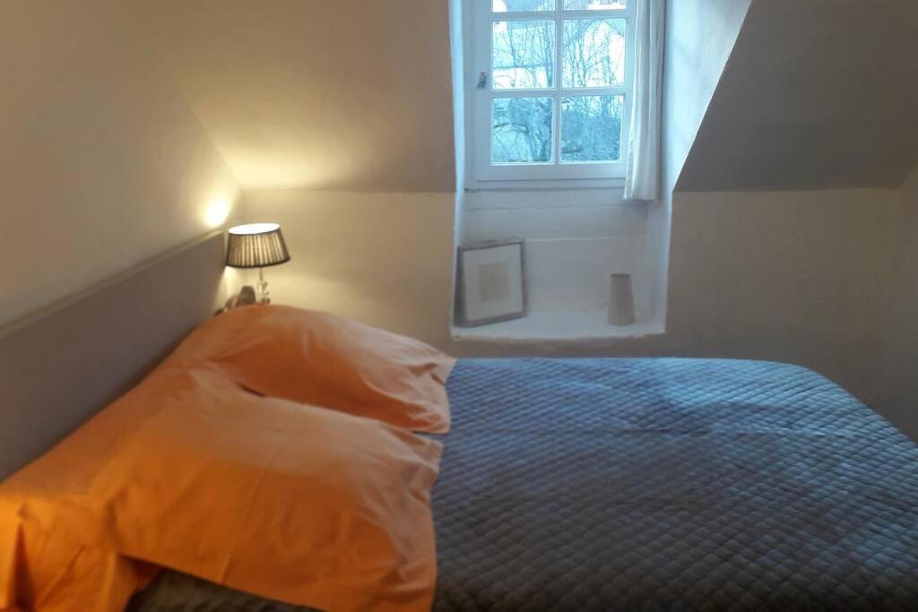 Magnifique Maison De Maitre Du 18E Avec Jardin Luz-Saint-Sauveur Exterior foto