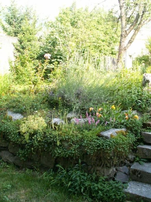 Magnifique Maison De Maitre Du 18E Avec Jardin Luz-Saint-Sauveur Exterior foto