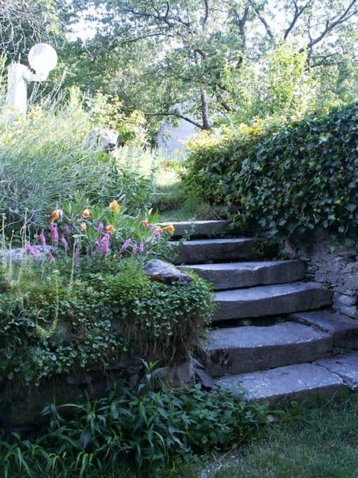 Magnifique Maison De Maitre Du 18E Avec Jardin Luz-Saint-Sauveur Exterior foto
